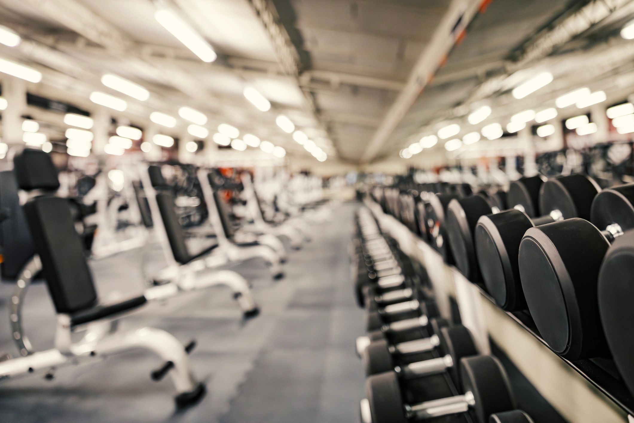 Modern gym interior with free weights and strength equipment